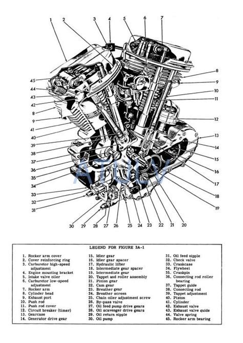 harley davidson 883 engine diagram 
